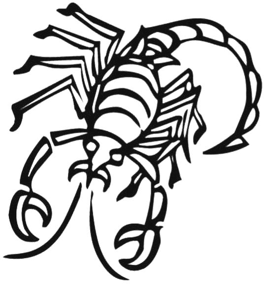 planse desene de colorat scorpion